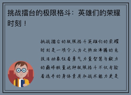 挑战擂台的极限格斗：英雄们的荣耀时刻 !